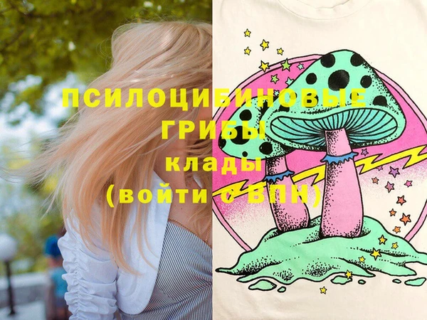 мет Осташков