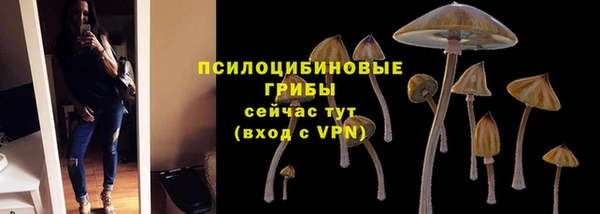 бошки Абинск
