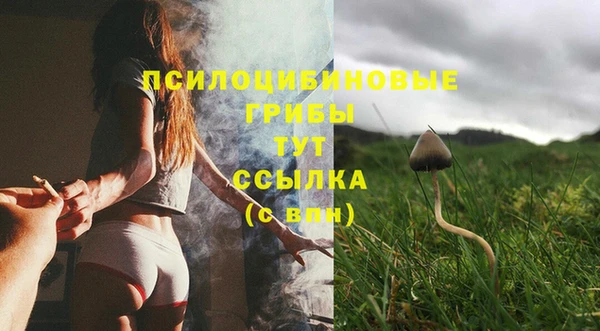бошки Абинск