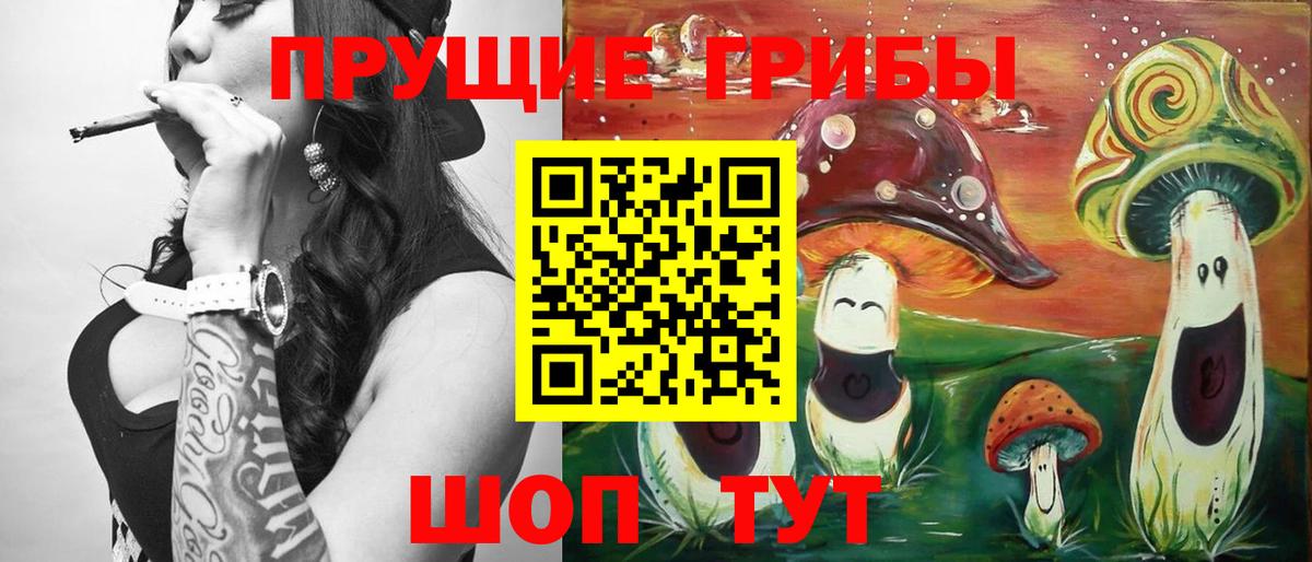 Псилоцибиновые грибы MAGIC MUSHROOMS Отрадное