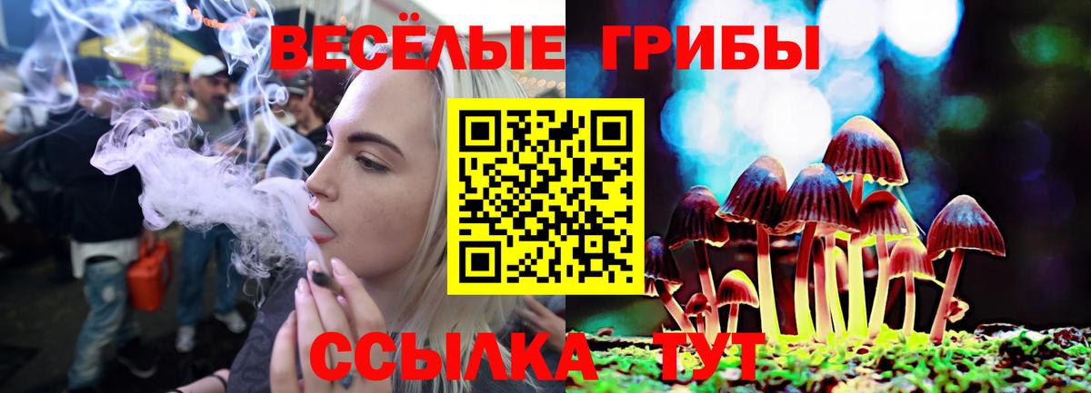 Галлюциногенные грибы GOLDEN TEACHER  купить   Галлюциногенные грибы Magic Shrooms  Отрадное  Вход с VPN 